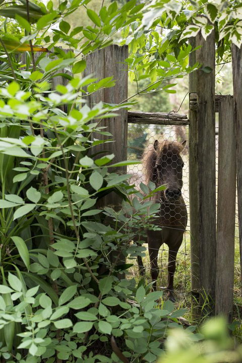 Botanica Editions - Accommodation Main Beach 40