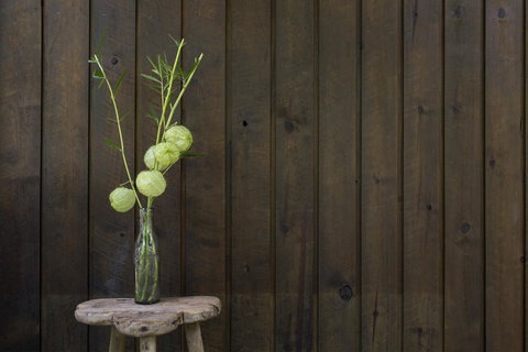 Botanica Editions - Accommodation Main Beach 10