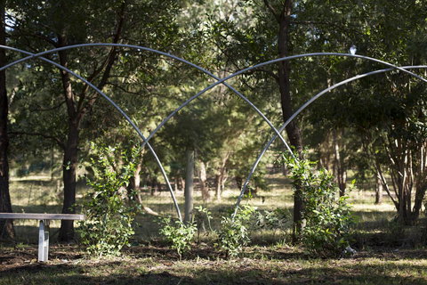 Botanica Editions - Accommodation Main Beach 42