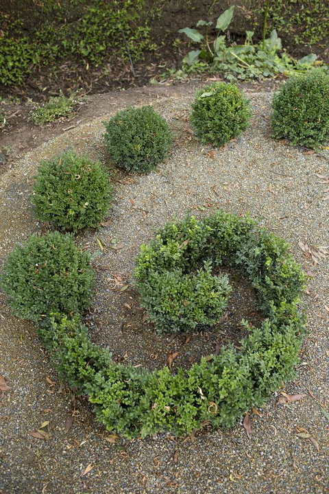 Botanica Editions - Accommodation Main Beach 7