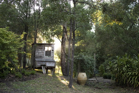 Botanica Editions - Accommodation Main Beach 31