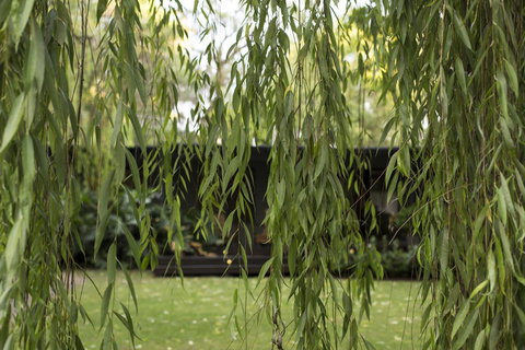 Botanica Editions - Accommodation Main Beach 38