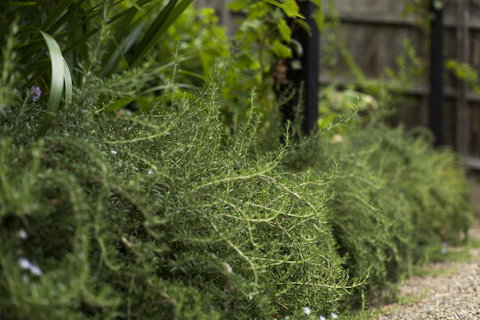 Botanica Editions - Accommodation Main Beach 35