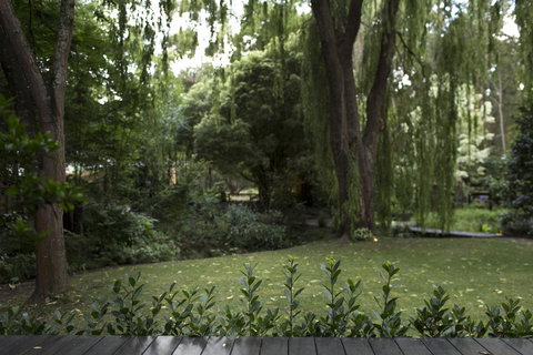 Botanica Editions - Accommodation Main Beach 16