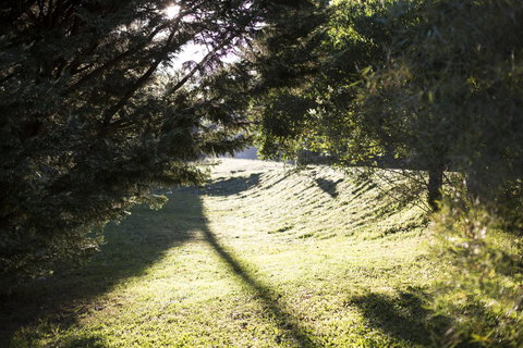 Botanica Editions - Accommodation Main Beach 29