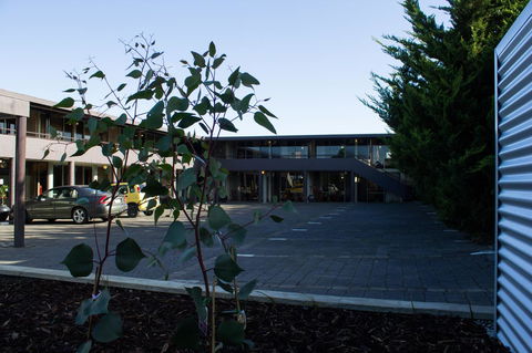 The Olive Tree Motel - Accommodation Main Beach 25