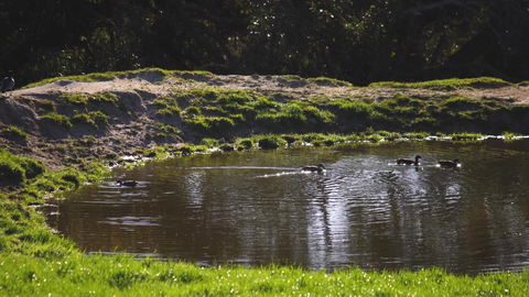 Limosa Rise - Accommodation Main Beach 15