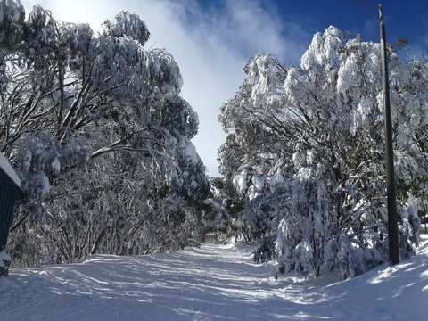 Maisonettes Falls Creek - Accommodation Main Beach 17