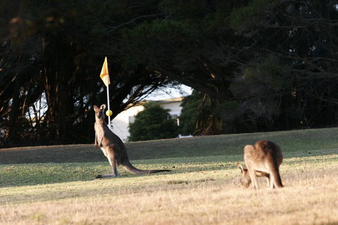 Lakeside At Mallacoota - Accommodation Main Beach 37