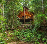 The Canopy Rainforest Treehouses  Wildlife Sanctuary - Accommodation Main Beach