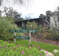 The Fig Tree BB - Accommodation Main Beach
