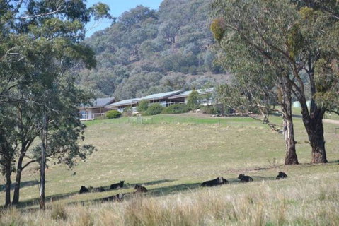 The Homestead At Holmeslgen At Eildon - Accommodation Main Beach 1