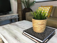 The Nesst  Southport - 2 Bdrm Apartment