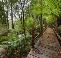 The Source Otways - Accommodation Main Beach