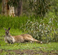 The Stirling Golf Club