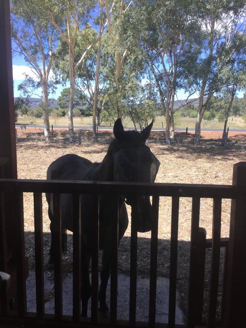 Thie My Chree Retreat - Accommodation Main Beach 3