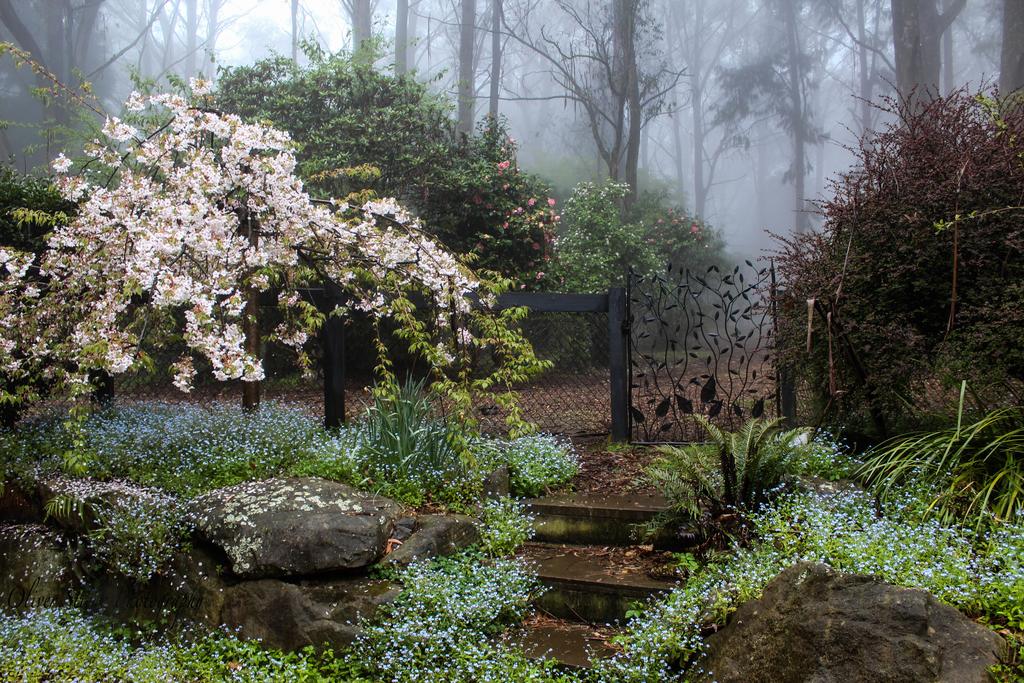 Mount Tomah NSW Accommodation Main Beach