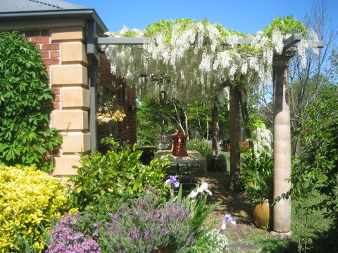 Trafalgar B&B - Accommodation Main Beach 1