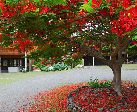 TRANQUILO BEACH HOUSE - Accommodation Main Beach 2