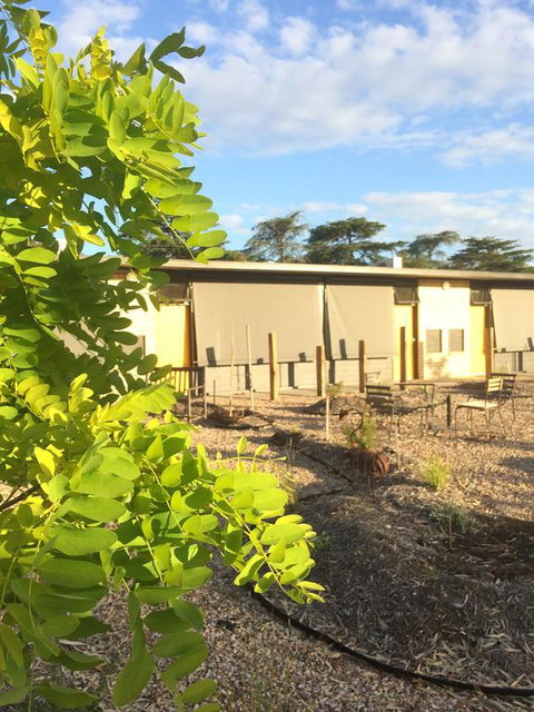 Tread Harcourt - Accommodation Main Beach 0