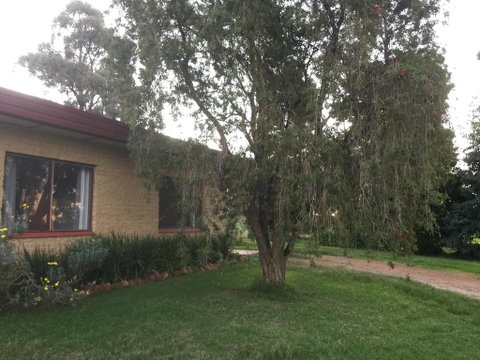 Tree Of Love Farm Stay - Accommodation Main Beach 1