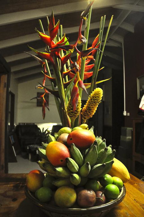 Tropical Bliss Bed And Breakfast - Accommodation Main Beach 3
