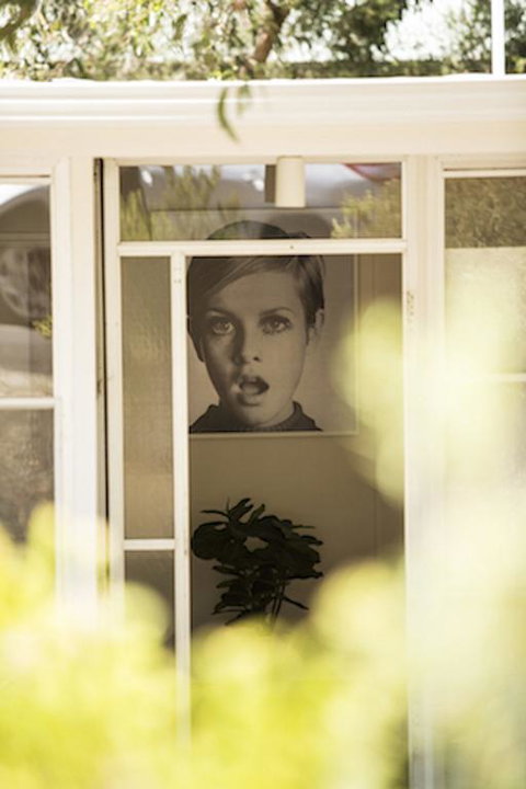 Twiggy @ Anglesea - Accommodation Main Beach 3