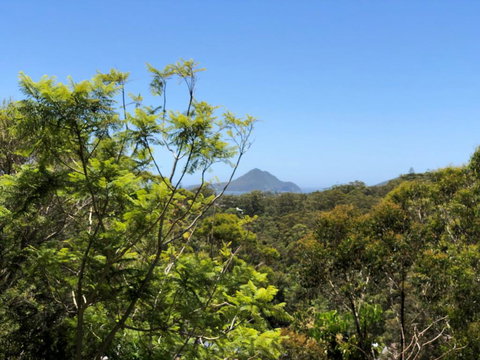 Ullora Road 38 - Accommodation Main Beach 2