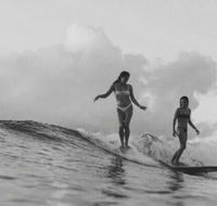 UMINA BEACH KOKOMO- Walk to the Beach FAMILY and PET FRIENDLY set of 3 Vintage Original Holiday Flats  Vintage Caravan and Bat - Accommodation Main Beach