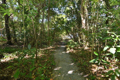 Villa Frangipani - Accommodation Main Beach 2