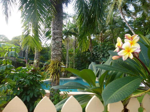 Villa Marine Holiday Apartments Cairns - Accommodation Main Beach 1