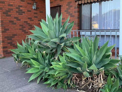 Vintage House In Bentleigh East - Accommodation Main Beach 1