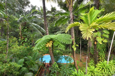 Wait A While Daintree - Accommodation Main Beach 3