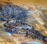 Walkabout Lodge - Accommodation Main Beach