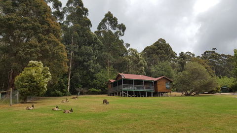 Walpole Wilderness Resort - Accommodation Main Beach 0