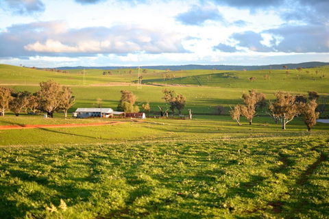 Wantana Cottage Farmstay - Accommodation Main Beach 0