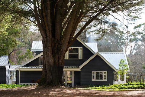 The Orchard - Accommodation Main Beach 0