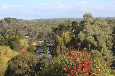 The Orchard - Accommodation Main Beach 28