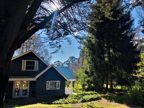 The Orchard - Accommodation Main Beach 1