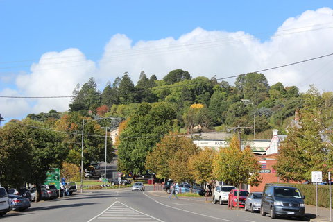 The Orchard - Accommodation Main Beach 29