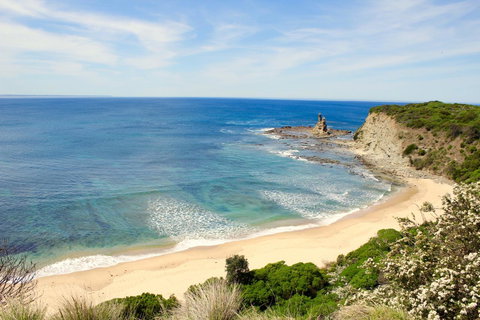 Perfect For Family Fun - Accommodation Main Beach 10