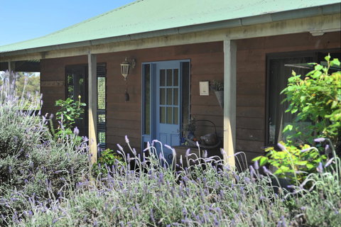 Lavender Farm - Accommodation Main Beach 8