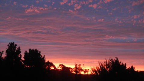 Avala Accommodation Daylesford - Accommodation Main Beach 20