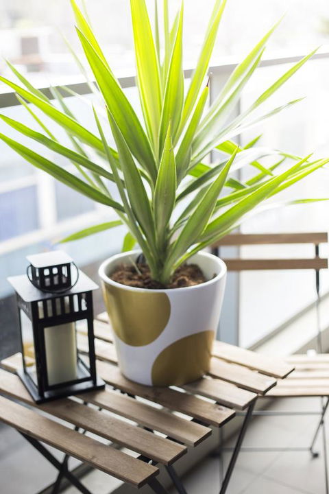 Complete Host 50 Claremont St Apartments - Accommodation Main Beach 6