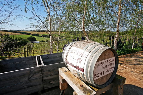 Waybourne- Vineyard And Winery - Accommodation Main Beach 6