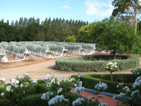Waybourne- Vineyard And Winery - Accommodation Main Beach 5