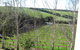 Waybourne- Vineyard And Winery - thumb 2