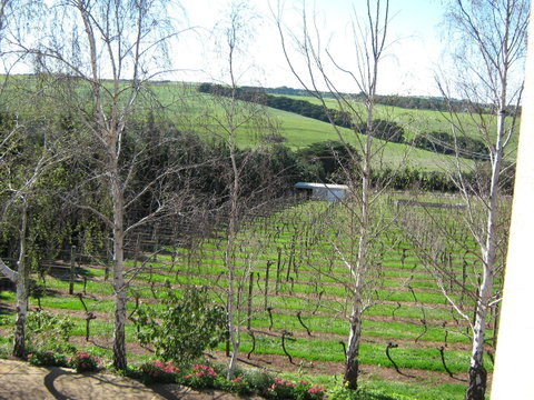 Waybourne- Vineyard And Winery - Accommodation Main Beach 2