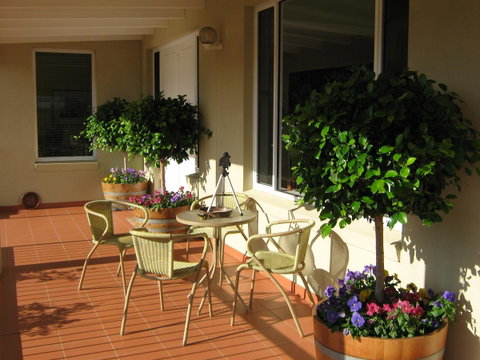 Waybourne- Vineyard And Winery - Accommodation Main Beach 7