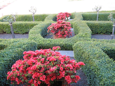 Waybourne- Vineyard And Winery - Accommodation Main Beach 4